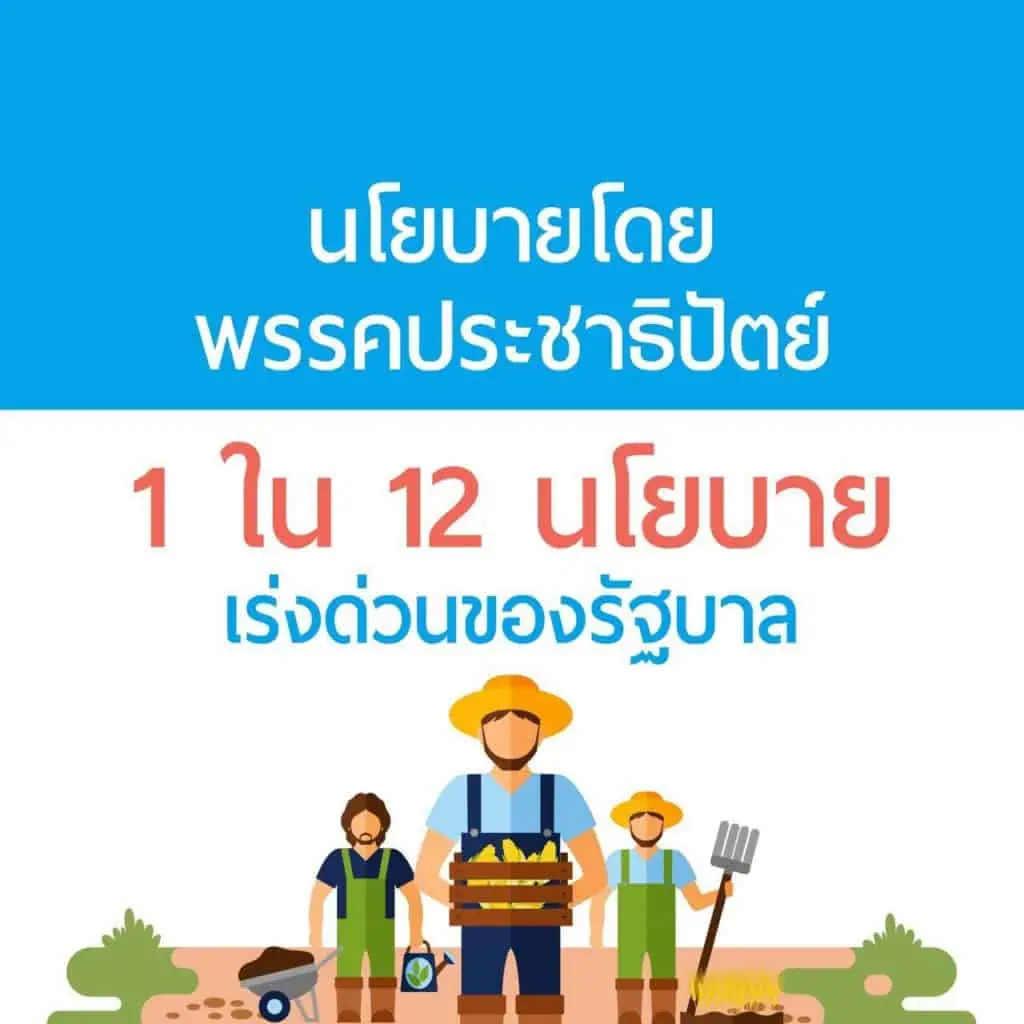 “จุรินทร์ ลักษณวิศิษฎ์” นำประกันรายได้ผ่าน ครม.ทุกตัว เดินหน้ามุ่งช่วยเกษตรกร ล่าสุดปาล์มทะลุ 7.50 บาท