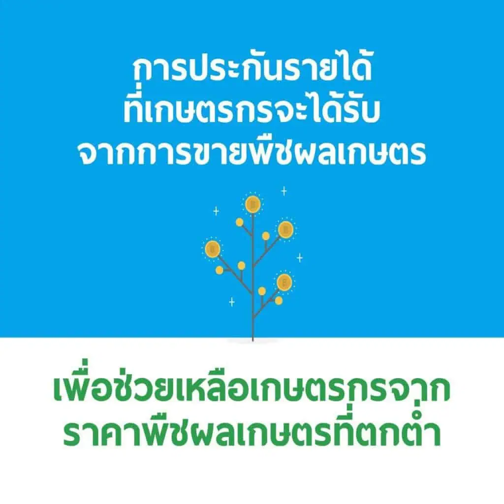 “จุรินทร์ ลักษณวิศิษฎ์” นำประกันรายได้ผ่าน ครม.ทุกตัว เดินหน้ามุ่งช่วยเกษตรกร ล่าสุดปาล์มทะลุ 7.50 บาท