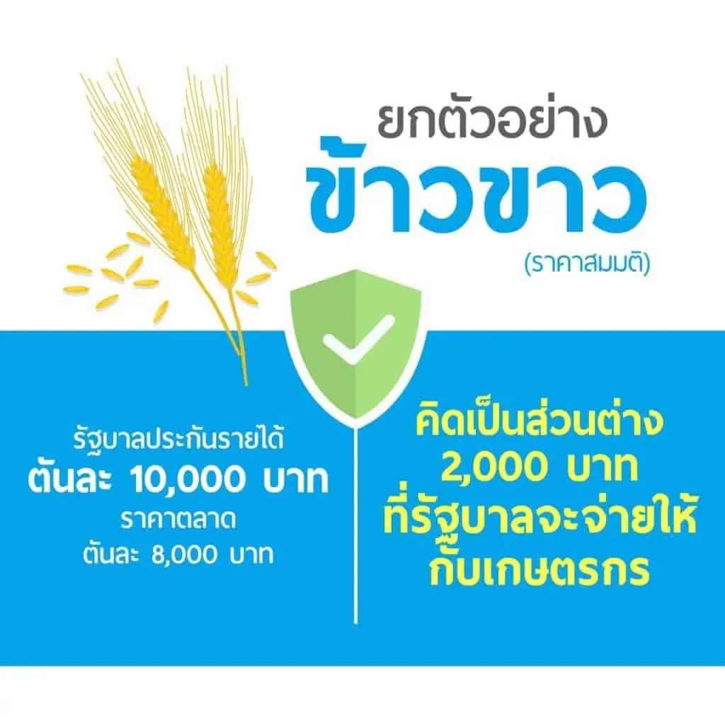 “จุรินทร์ ลักษณวิศิษฎ์” นำประกันรายได้ผ่าน ครม.ทุกตัว เดินหน้ามุ่งช่วยเกษตรกร ล่าสุดปาล์มทะลุ 7.50 บาท