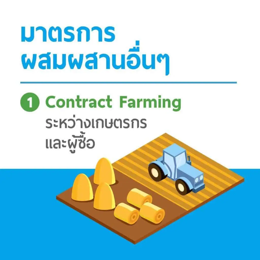 “จุรินทร์ ลักษณวิศิษฎ์” นำประกันรายได้ผ่าน ครม.ทุกตัว เดินหน้ามุ่งช่วยเกษตรกร ล่าสุดปาล์มทะลุ 7.50 บาท