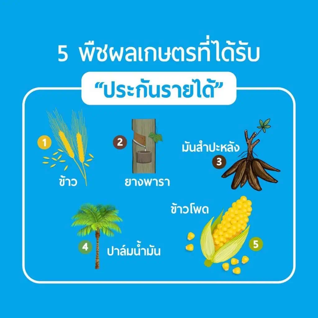 “จุรินทร์ ลักษณวิศิษฎ์” นำประกันรายได้ผ่าน ครม.ทุกตัว เดินหน้ามุ่งช่วยเกษตรกร ล่าสุดปาล์มทะลุ 7.50 บาท