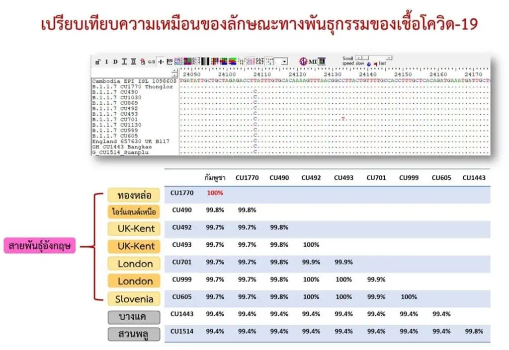 โควิด-19 สายพันธุ์อังกฤษที่พบในไทยเหมือนสายพันธุ์ที่พบในกัมพูชา