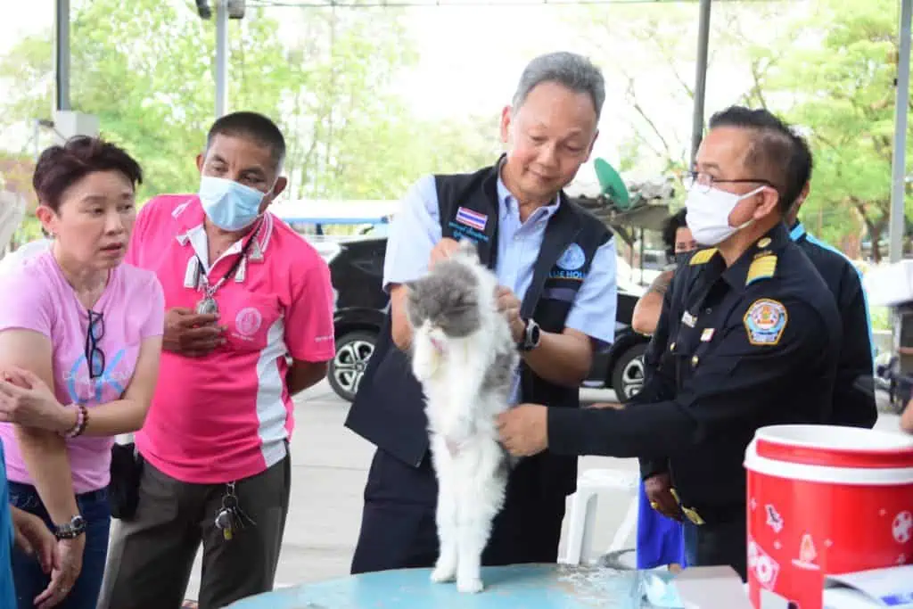 ศูนย์ BLUE HOUSE ปชป.  ลงพื้นที่คลองสามวา ช่วย 'หมา - แมว' ชาวบ้านพ้นภัยจากโรคพิษสุนัขบ้า - 'เมฆินทร์' เผยชาวบ้านเจอปัญหา 'เมืองโตจนปรับตัวไม่ทัน' หวัง 'อัตลักษณ์คลองสามวา' อยู่คู่กับความทันสมัย ด้าน 'ชมพูนุท'  เผยชาวบ้านห่วงถึงหน้าฝนจะเกิดน้ำท่วม เพราะยังไม่มีการขุดลอกคลอง ท่อระบายน้ำ เตรียมเร่งประสานขอให้มีการดำเนินการอย่างเร่งด่วน