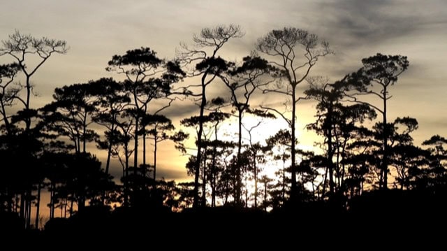 อดีตรมว.การท่องเที่ยวและกีฬาแนะรัฐบาลเร่งรื้อกฎระเบียบ และโครงสร้างที่เป็นอุปสรรค์ในอุตสาหกรรมท่องเที่ยวก่อนรับนักท่องเที่ยวหลังโควิด-19 คลี่คลาย อดีตรมว.การท่องเที่ยวและกีฬาแนะรัฐบาลเร่งรื้อกฎระเบียบ และโครงสร้างที่เป็นอุปสรรค์ในอุตสาหกรรมท่องเที่ยวก่อนรับนักท่องเที่ยวหลังโควิด-19 คลี่คลาย