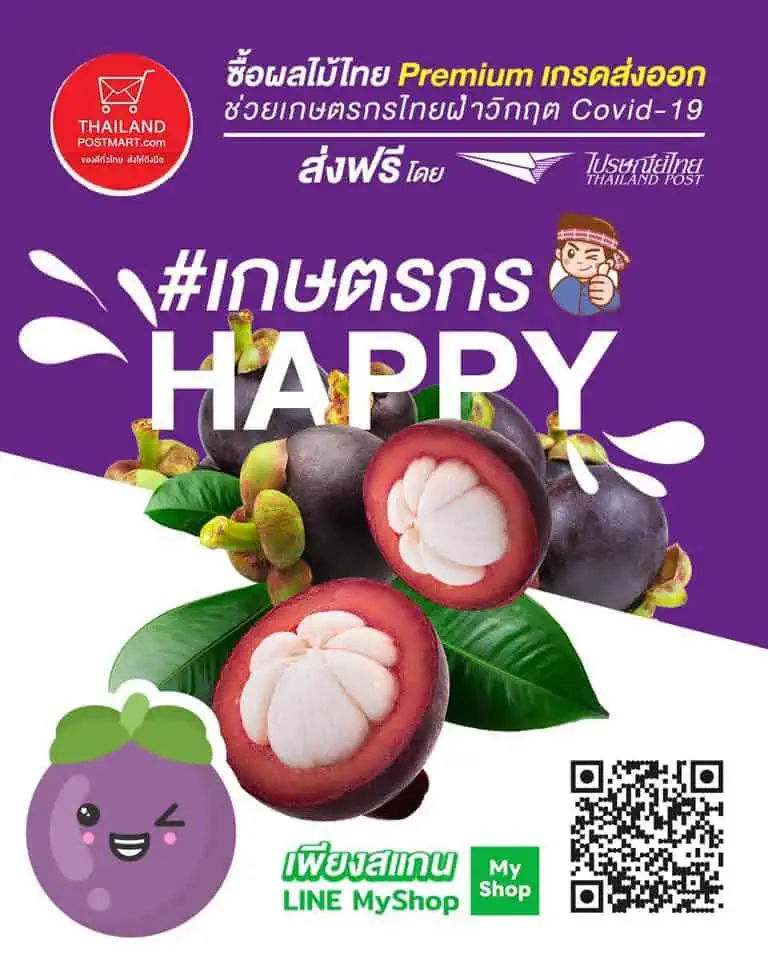 “เฉลิมชัย ศรีอ่อน”สั่งประชุมฟรุ้ทบอร์ดเปิดแคมเปญ 8 เดือน 8 จองมังคุดชาวสวนใต้ ดันราคามังคุดเพิ่ม ตั้งล้งตะวันออกและตู้คอนเทนเนอร์ไหลไปใต้มากขึ้นส่งผลราคามังคุดดีขึ้น