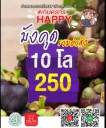 รมว.กระทรวงเกษตรฯนำทัพคิกออฟแคมเปญขายมังคุดวันที่ 8 เดือน 8  ดีเดย์พรุ่งนี้(8 ส.ค.)ทั่วไทยทั้งออนไลน์ออฟไลน์ 4 โล 100 ออร์เดอร์ในมือกว่า 100 ตันพร้อมส่งตรงถึงบ้าน