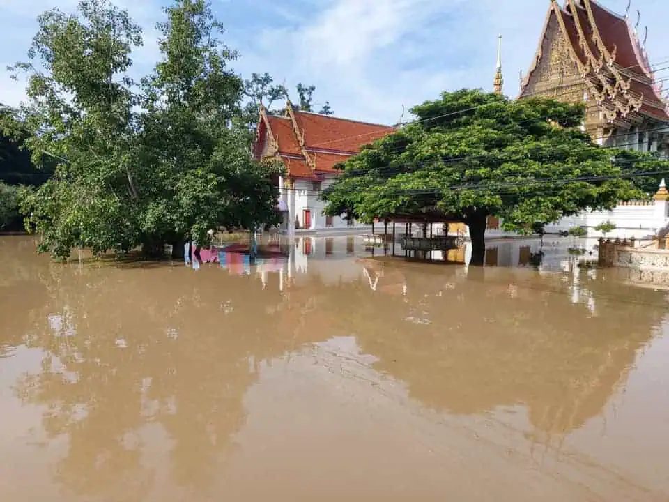  “วิระชัย ทรงเมตตา”นำอาหารและถุงยังชีพมอบให้ชาวบางบาล พระนครศรีอยุธยาที่ได้รับผลกระทบจากน้ำท่วม