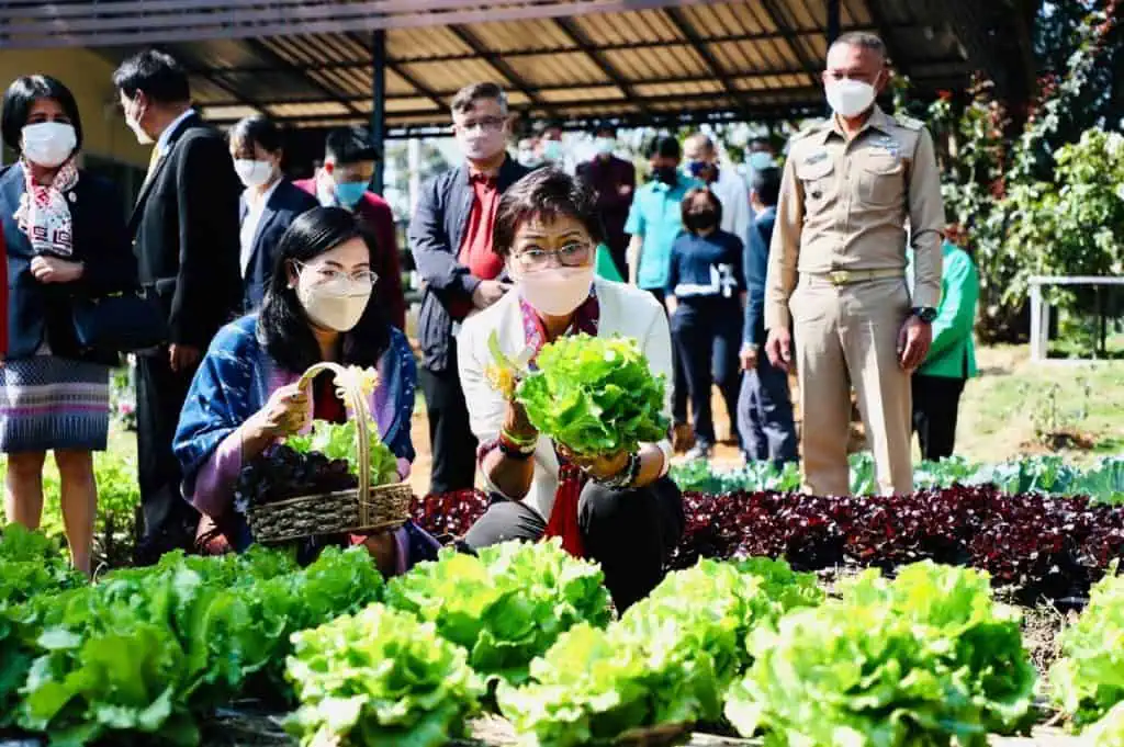 "คุณหญิงกัลยา" ปลื้ม สมัครร่วมโครงการอัจฉริยะเกษตรประณีต 600 โรงเรียน เร่งฝึกทักษะอาชีพในอนาคต