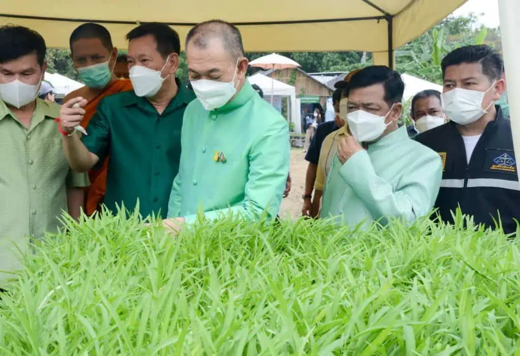 “เฉลิมชัย”ขับเคลื่อนนโยบาย”เกษตรกรรมยั่งยืนในเมือง”เพิ่มพื้นที่สีเขียวในวัด โรงเรียน ชุมชน สสร้างระบบนิเวศเป็นศูนย์เรียนรู้