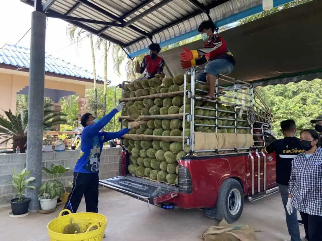 รมว.เกษตรประกาศยื่นหนึ่งทุเรียนไทย“เฉลิมชัย”เปิดงาน “Eastern Monthong Best Quality เปิดฤดูกาลหมอนทอง ดีเลิศที่คุณภาพ ดีเยี่ยมเพื่อส่งออก” Zero Covid   