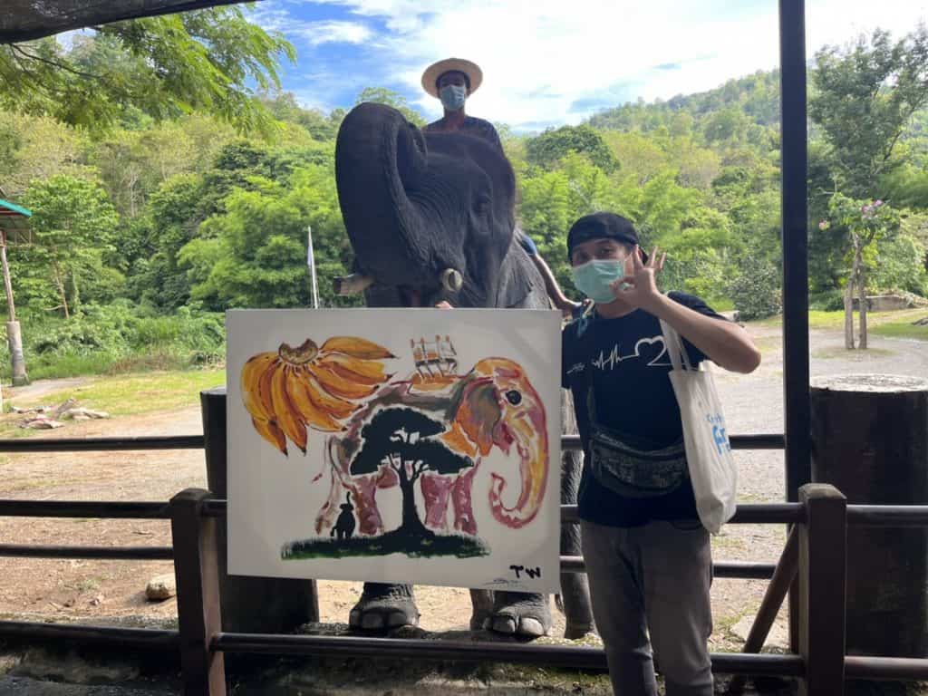 ม.เกษตรฯร่วมกับปางช้างแม่แตง จัดใหญ่นิทรรศการศิลปะเพื่อช้าง ม.เกษตรฯร่วมกับปางช้างแม่แตง จัดใหญ่นิทรรศการศิลปะเพื่อช้าง