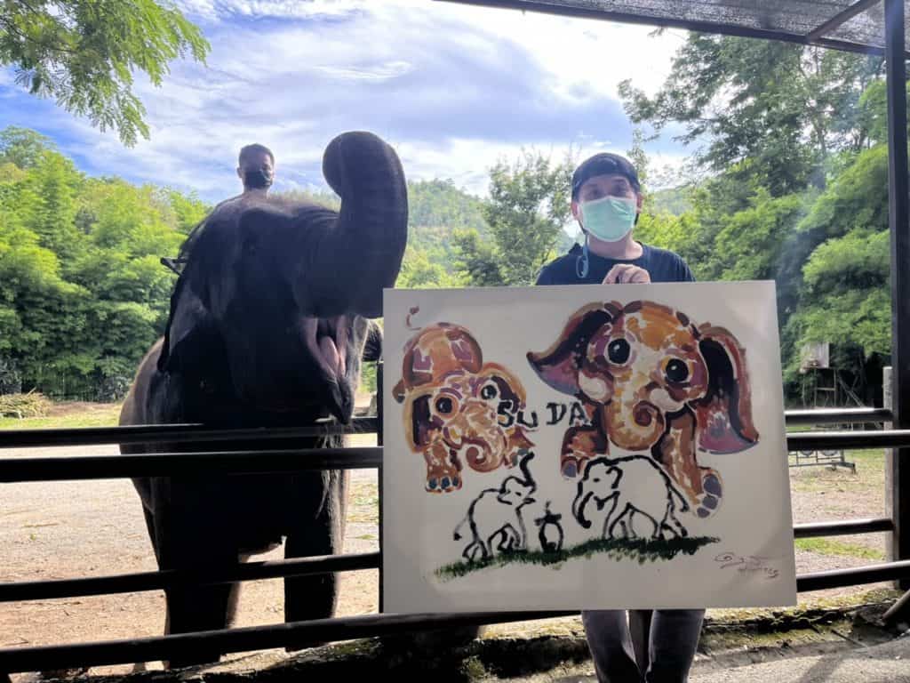 ม.เกษตรฯร่วมกับปางช้างแม่แตง จัดใหญ่นิทรรศการศิลปะเพื่อช้าง ม.เกษตรฯร่วมกับปางช้างแม่แตง จัดใหญ่นิทรรศการศิลปะเพื่อช้าง