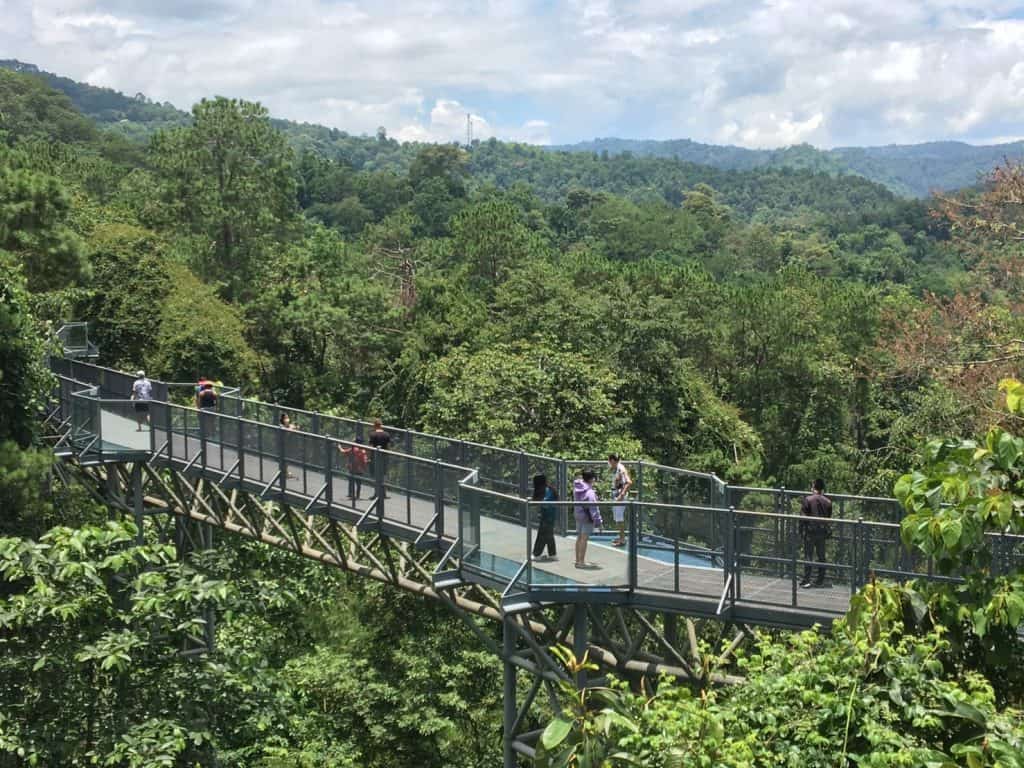 หยุดยาว เชียงใหม่คึกคัก นทท.แห่ชมธรรมชาติ "สวนพฤกษศาสตร์ฯ แม่ริม " หยุดยาว เชียงใหม่คึกคัก นทท.แห่ชมธรรมชาติ "สวนพฤกษศาสตร์ฯ แม่ริม "