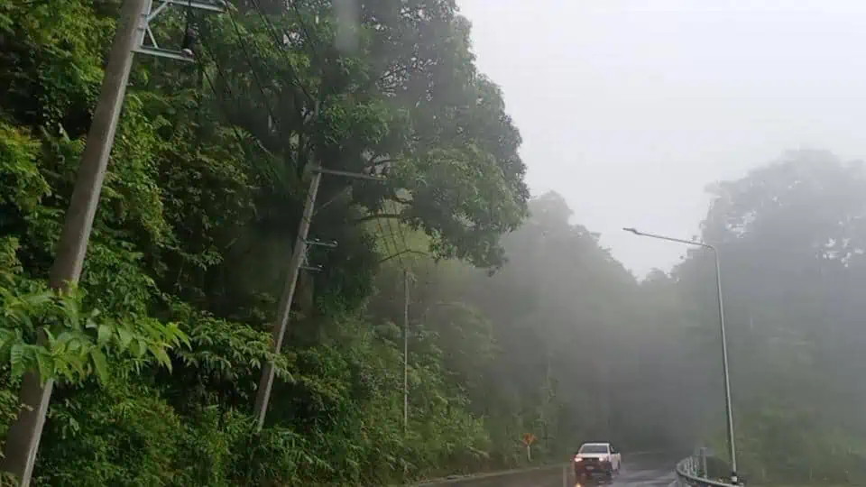 เชียงใหม่ฝนตก เสาไฟฟ้าล้มขวางทางขึ้น-ลงดอยสุเทพ