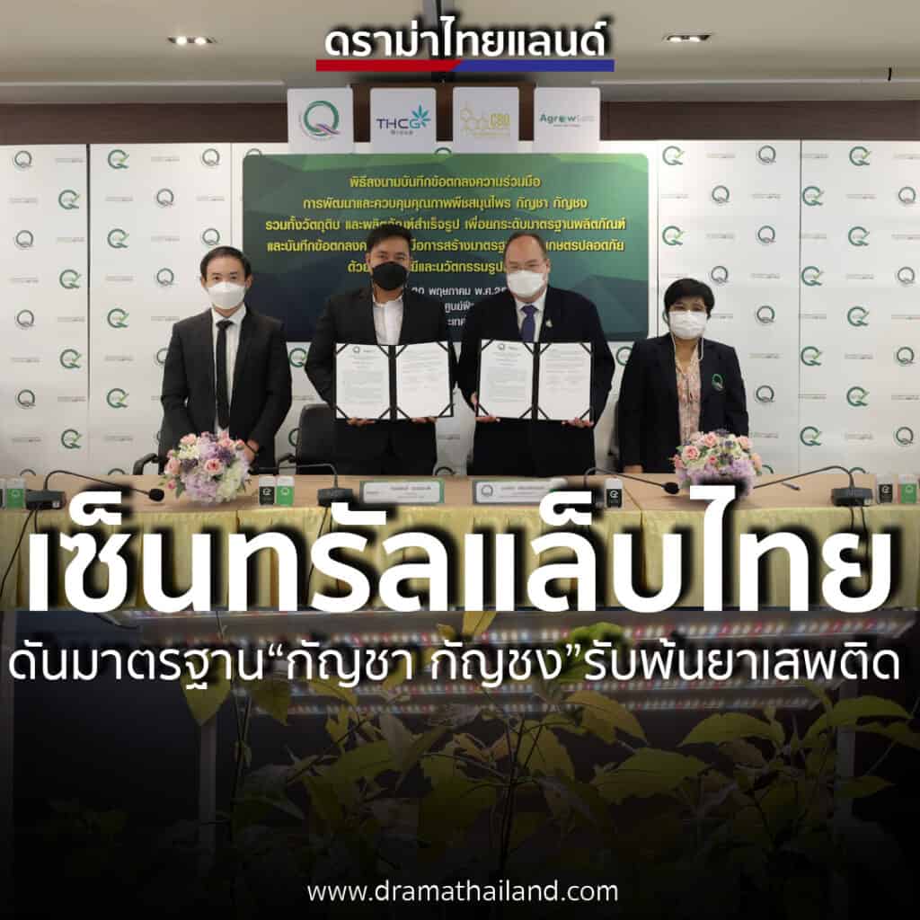 “เซ็นทรัลแล็บไทย” จับมือ 3 พันธมิตร ดันมาตรฐาน “กัญชา กัญชง” รับปลดล็อกพ้นยาเสพติด “เซ็นทรัลแล็บไทย” จับมือ 3 พันธมิตร ดันมาตรฐาน “กัญชา กัญชง” รับปลดล็อกพ้นยาเสพติด