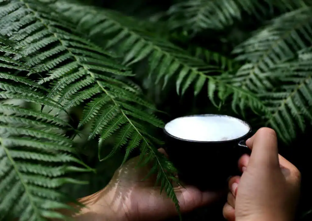 หยุดยาว อุทยานหลวงราชพฤกษ์ ชวนเที่ยว จิบกาแฟ ชมดอกไม้นานาพรรณ