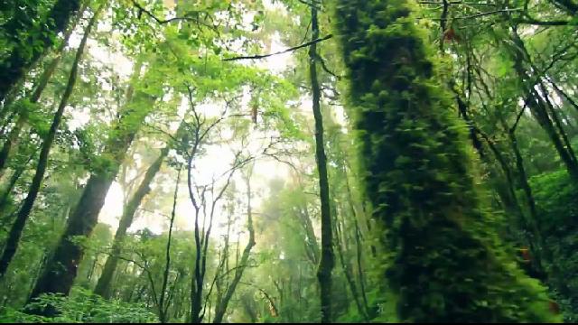 ปิด "กิ่วแม่ปาน" พักฟื้นธรรมชาติในหน้าฝน ปิด "กิ่วแม่ปาน" พักฟื้นธรรมชาติในหน้าฝน