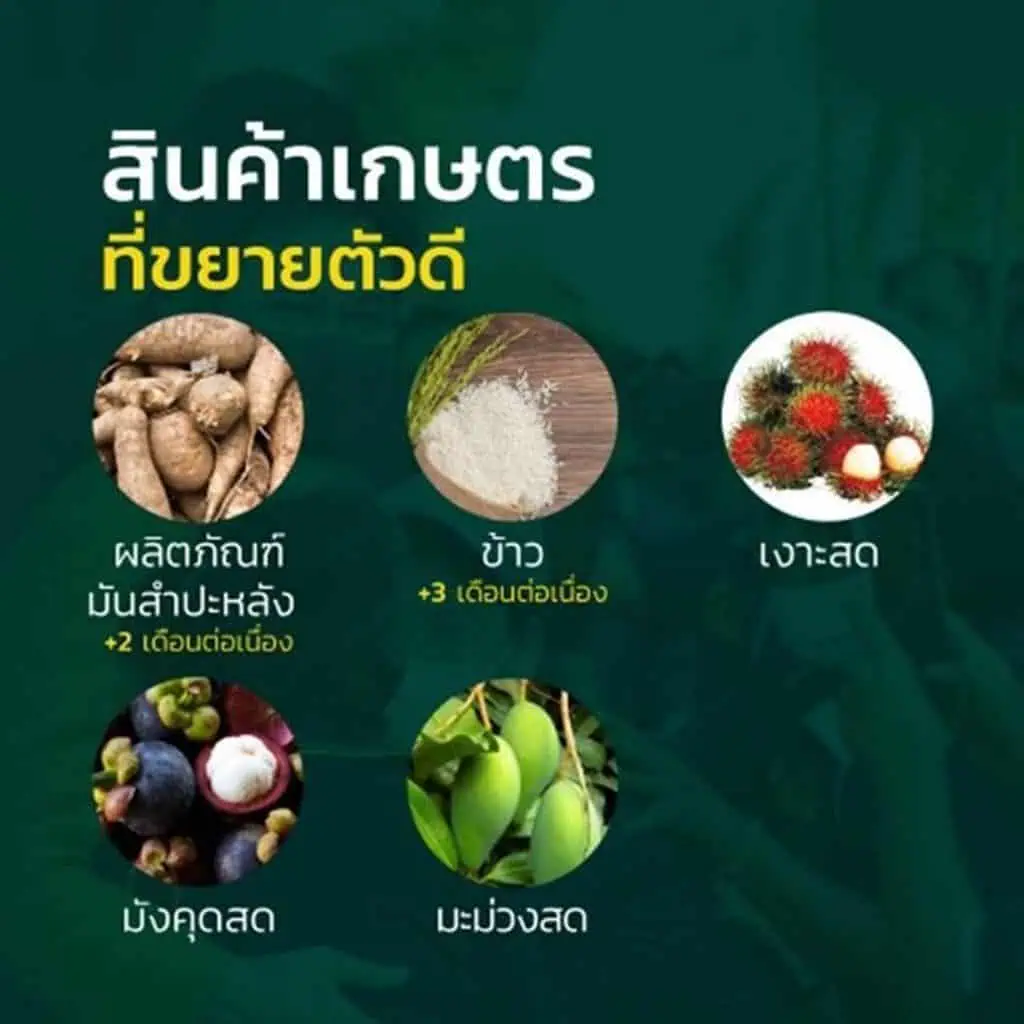 “จุรินทร์” เผย สัปดาห์หน้าเจรจานำเข้าปุ๋ยซาอุตั้งเป้า8แสนตัน มั่นใจดันส่งออกสร้างรายได้เข้าประเทศปีนี้ 9 ล้านล้านบาท ชี้3ปีพัฒนาข้าวไทยจนได้แชมป์ดีที่สุดของโลก2ปีซ้อนเชื่อส่งออกข้าวมากกว่าปีก่อน