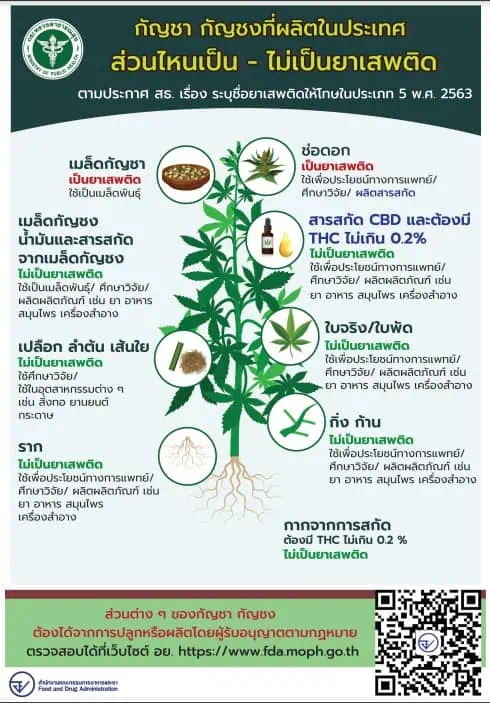 กรมอนามัย แจงเจ้าพนักงานท้องถิ่น ปฏิบัติตามร่างคำแนะนำแนวทางควบคุมเหตุรำคาญจากการกระทำให้เกิดกลิ่น หรือควันกัญชา กัญชง หรือพืชอื่นใด พ.ศ. ....