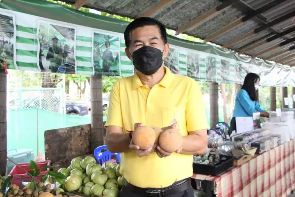 "เกษตรชวนชิม ชอป ถ่ายรูปเช็คอินกับลุงเยี่ยมที่ตลาดเกษตรกรเชียงใหม่"