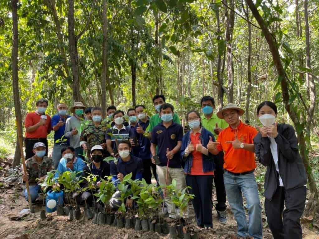 พบ 'เห็ดทรัฟเฟิลสีทอง' ครั้งแรก ลุ้นสายพันธุ์ใหม่ในโลก