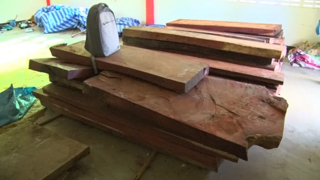 ตำรวจปทส ยึดไม้ประดู่ 70 แผ่นซุกบ้านเช่ากลางสวนลำไยรอส่งออกจีน ตำรวจปทส ยึดไม้ประดู่ 70 แผ่นซุกบ้านเช่ากลางสวนลำไยรอส่งออกจีน