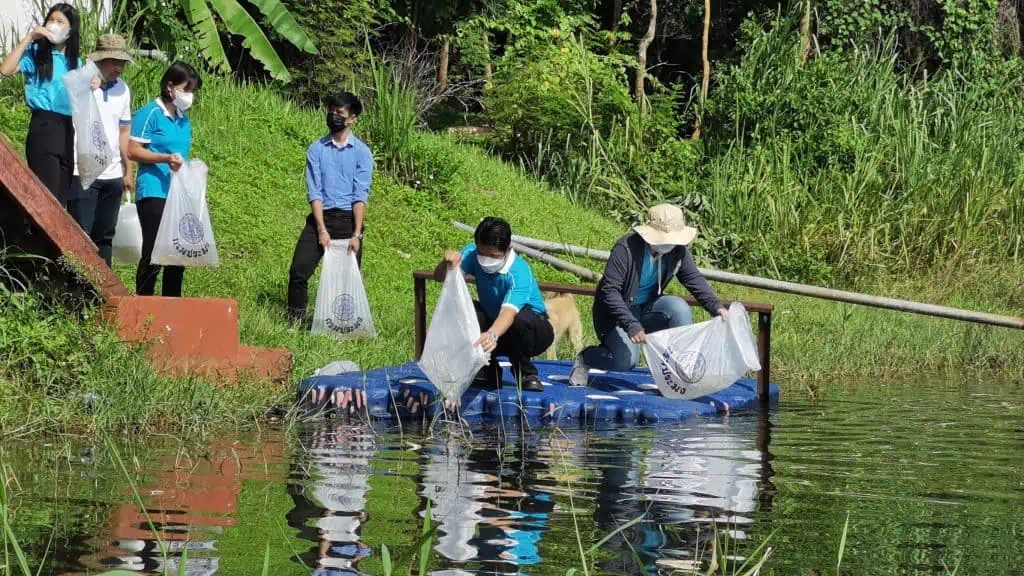 ชลประทานเชียงใหม่ เฉลิมพระเกียรติ ปล่อยปลาถวายพระราชกุศล