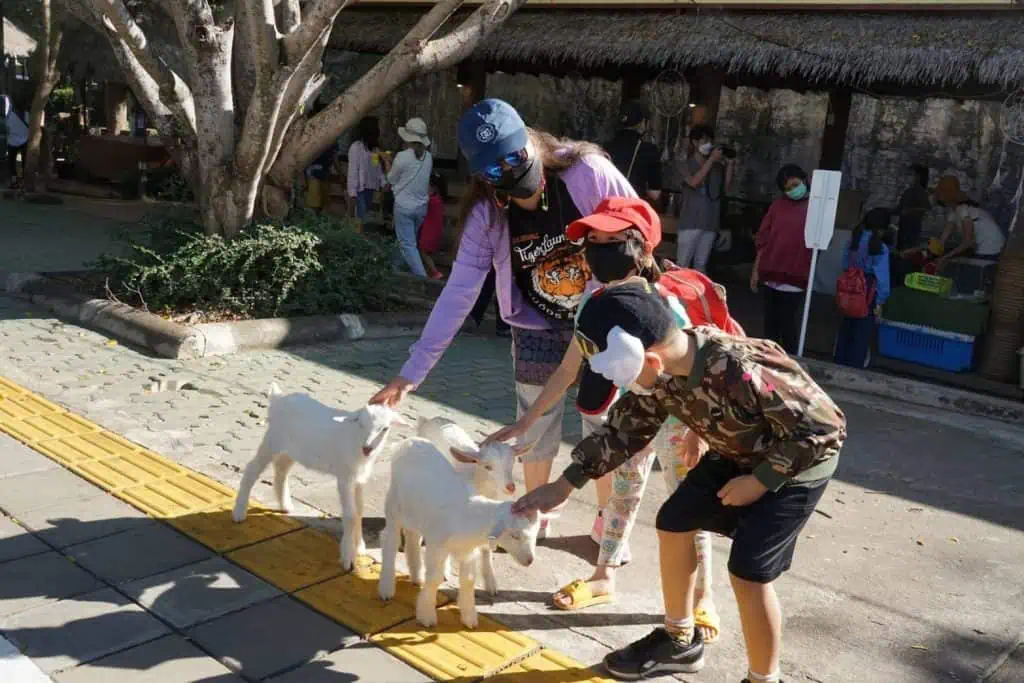 พาแม่เที่ยวไนท์ สุขใจวันแม่มอบสิทธิพิเศษแม่เที่ยวฟรี 12 สิงหา