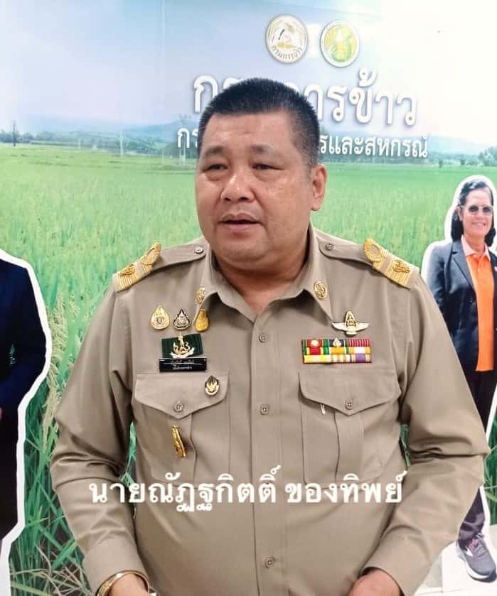 "กรมการข้าว"เปิดตัวข้าวน้องใหม่ 4 พันธุ์ ชูจุดเด่นให้ผลผลิตสูง ประเดิมผลิตล็อคแรก 300 ตัน เริ่มจำหน่ายเกษตรกร ประเดิม ธันวาคม พร้อมเตรียม ดึงกองทุนหมู่บ้านเป็นศูนย์กระจายเมล็ดพันธ์ "กรมการข้าว"เปิดตัวข้าวน้องใหม่ 4 พันธุ์ ชูจุดเด่นให้ผลผลิตสูง ประเดิมผลิตล็อคแรก 300 ตัน เริ่มจำหน่ายเกษตรกร ประเดิม ธันวาคม พร้อมเตรียม ดึงกองทุนหมู่บ้านเป็นศูนย์กระจายเมล็ดพันธ์