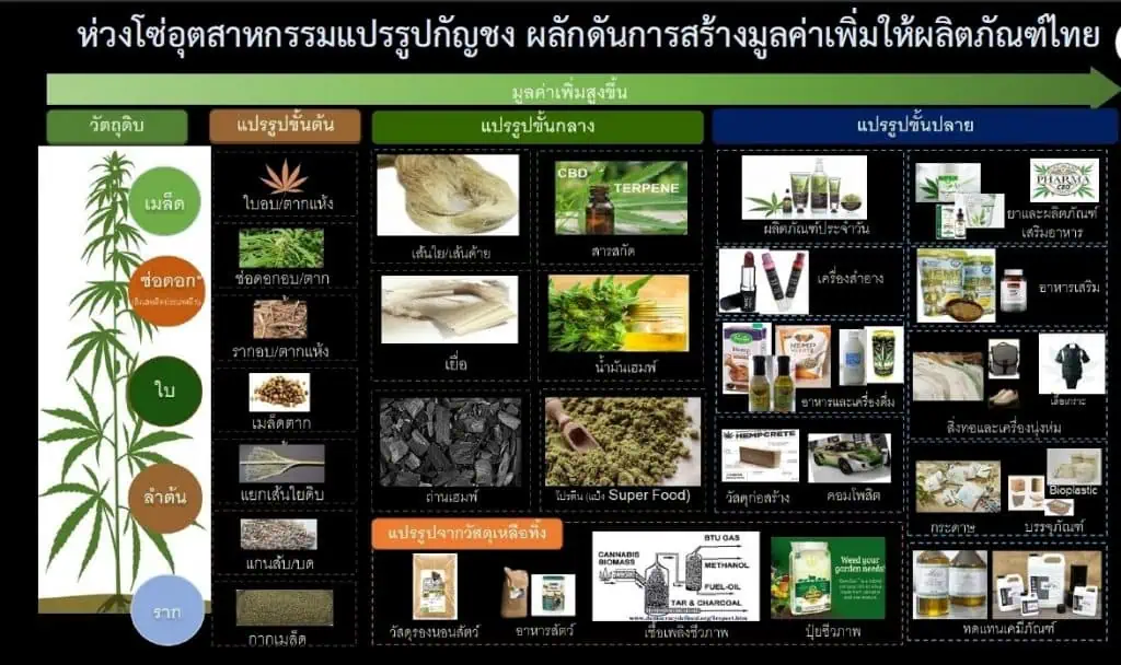 ที่ปรึกษารมว.อุตสาหกรรม เดินหน้านำร่องศูนย์แปรรูปกัญชงเป็นผลิตภัณฑ์อุตสาหกรรมขั้นกลาง