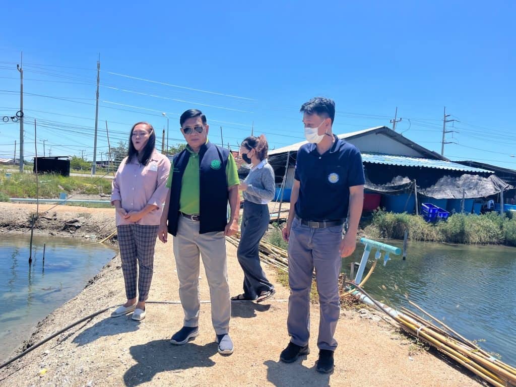 เฉลิมชัย’ สั่งเดินหน้าแผนพัฒนาเกลือทะเลไทยปี 66 ดีเดย์ 1 ตุลาคม เฉลิมชัย’ สั่งเดินหน้าแผนพัฒนาเกลือทะเลไทยปี 66 ดีเดย์ 1 ตุลาคม