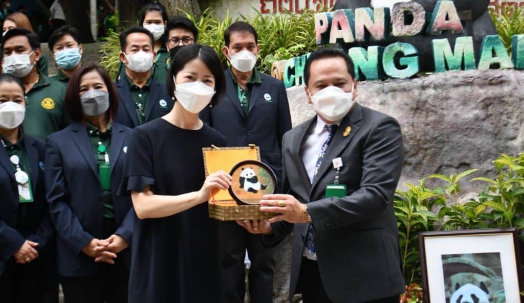 ครบรอบ 3 ปี "ช่วงช่วง" แพนด้าทูตสันถวไมตรี ครบรอบ 3 ปี "ช่วงช่วง" แพนด้าทูตสันถวไมตรี