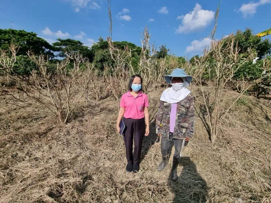 กรมส่งเสริมการเกษตร เยียวยาเกษตรกรผู้ประสบภัย จ.เชียงใหม่