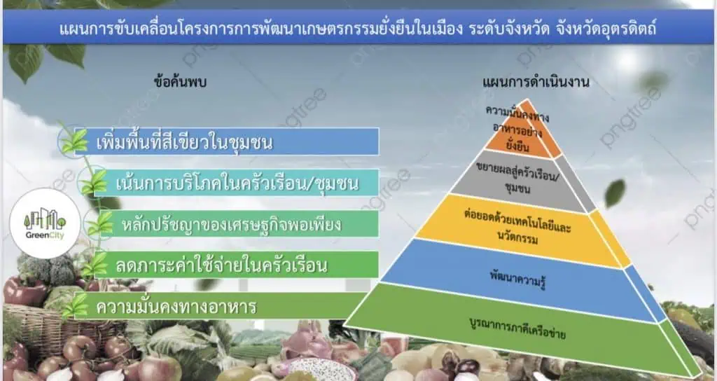 “อลงกรณ์” พอใจ 62 จว. เดินหน้าพัฒนาเกษตรกรรมยั่งยืนในเมือง