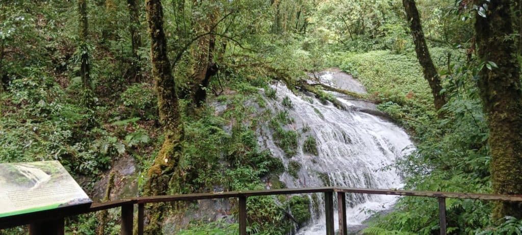 ดอยอินทนนท์ 7 องศา เปิดกิ่วแม่ปาน 1 พ.ย. เที่ยวกันคึกคัก ดอยอินทนนท์ 7 องศา เปิดกิ่วแม่ปาน 1 พ.ย. เที่ยวกันคึกคัก