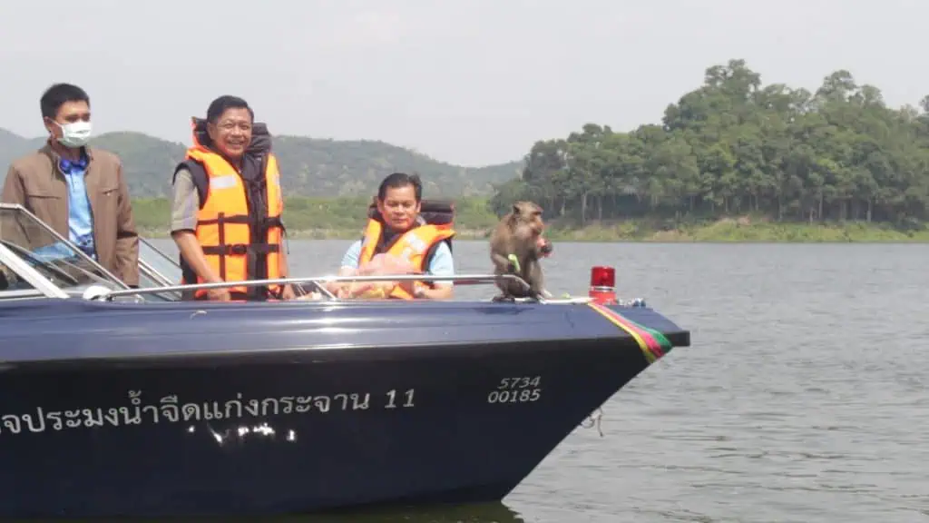 กระทรวงเกษตรฯ. ผนึกจังหวัดเพชรบุรี ดันพระนครคีรีเป็นต้นแบบ แก้ปัญาลิงแสม