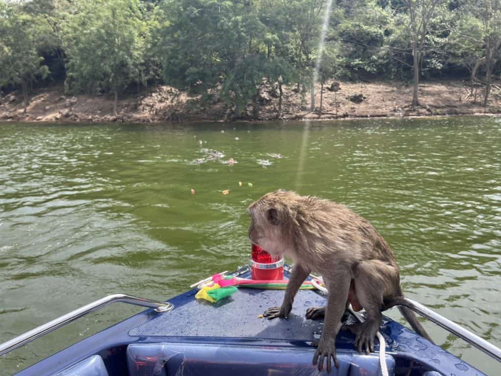 “อลงกรณ์”แปลกใจ”ยุทธพล”คัดค้านโครงการแก้ปัญหาลิงแสมจังหวัดเพชรบุรี “อลงกรณ์”แปลกใจ”ยุทธพล”คัดค้านโครงการแก้ปัญหาลิงแสมจังหวัดเพชรบุรี