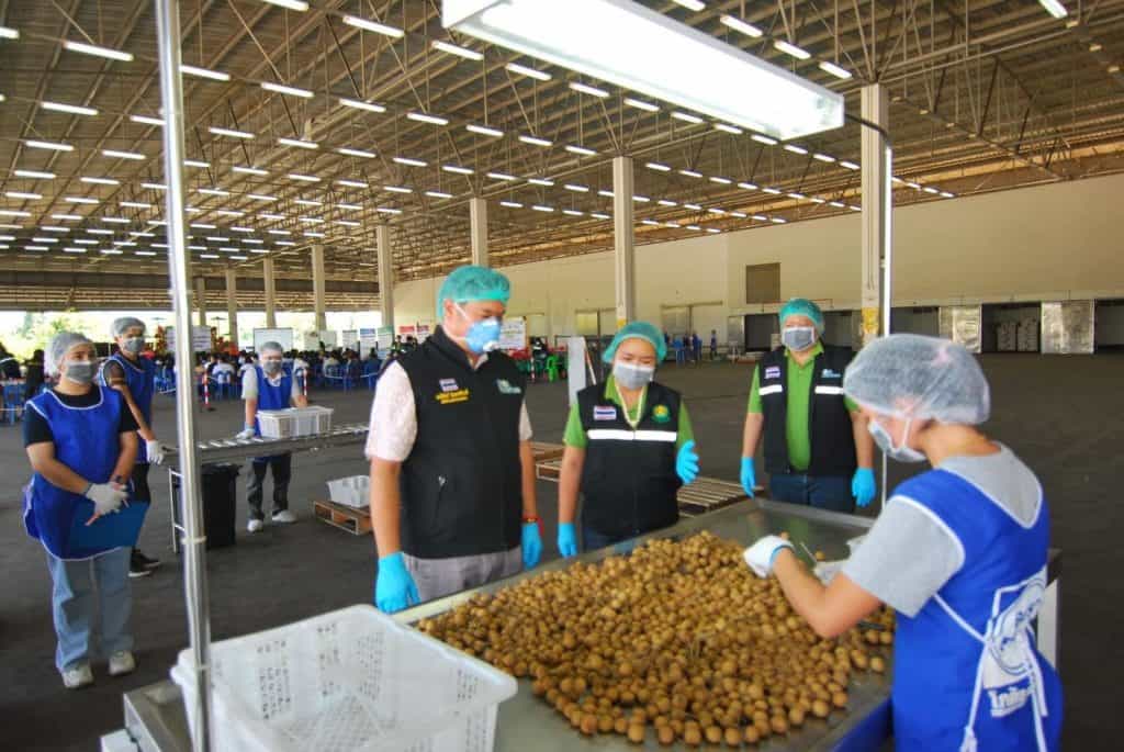 สั่งปูพรม เร่งออกทะเบียน-ต่ออายุ GAP ส่งออกผลไม้ไปจีน สั่งปูพรม เร่งออกทะเบียน-ต่ออายุ GAP ส่งออกผลไม้ไปจีน