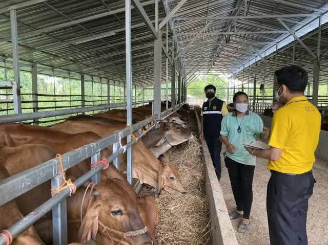 "เฉลิมชัย” ตั้งเป้าพัฒนาอาชีพปศุสัตว์สู่เกษตรมูลค่าสูง เพิ่มช่องทางลงทุนไทย-ซาอุฯ