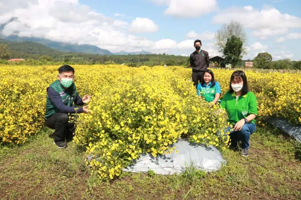 "สวนบัวชมพู ณ จอมคีรีฯชีวิตอินทรีย์ที่มีชีวา"