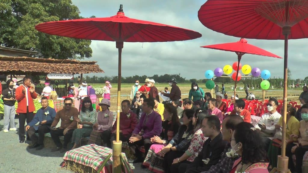 นั่งบอลลูน ขึ้นเครื่องร่อน ชมทุ่งดอกไม้ ที่สันกำแพง นั่งบอลลูน ขึ้นเครื่องร่อน ชมทุ่งดอกไม้ ที่สันกำแพง