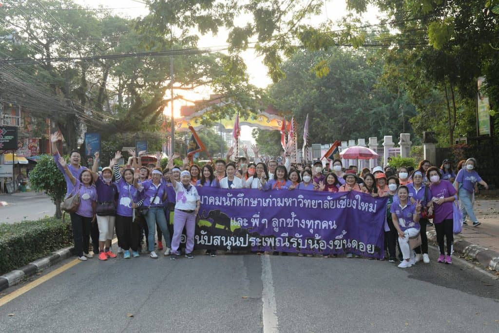 “ลูกจ๊างขึ้นดอย ปิ๊กฮอยศรัทธา เหมันต์ไหว้สา พระธาตุเจ้าดอยสุเทพ” “ลูกจ๊างขึ้นดอย ปิ๊กฮอยศรัทธา เหมันต์ไหว้สา พระธาตุเจ้าดอยสุเทพ”