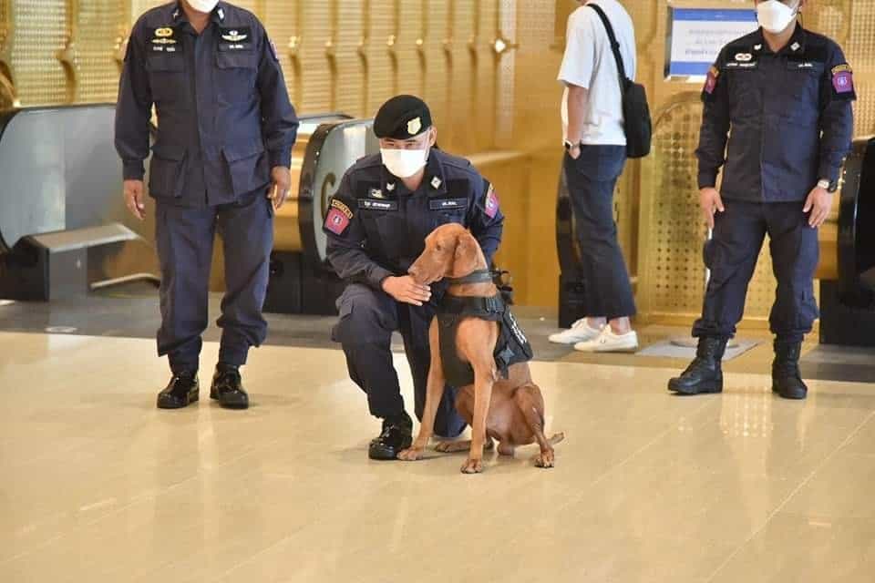 ผบ.ตร. ติวเข้มชุดปฎิบัติการพิเศษด้านความปลอดภัย สร้างความเชื่อมั่นประชุมเอเปค ผบ.ตร. ติวเข้มชุดปฎิบัติการพิเศษด้านความปลอดภัย สร้างความเชื่อมั่นประชุมเอเปค