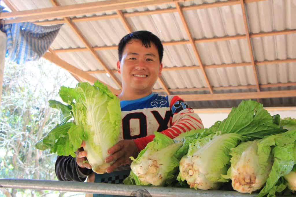 ซื้อผักกาดขาว-กะหล่ำปลีช่วยชาวสวน รองผู้ว่าฯชม. นำเอกชน แก้ปัญหาราคาตกต่ำ ซื้อผักกาดขาว-กะหล่ำปลีช่วยชาวสวน รองผู้ว่าฯชม. นำเอกชน แก้ปัญหาราคาตกต่ำ