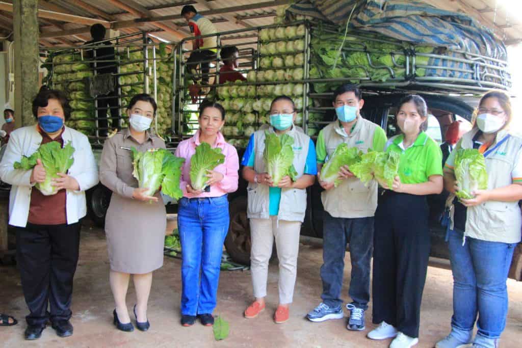 ซื้อผักกาดขาว-กะหล่ำปลีช่วยชาวสวน รองผู้ว่าฯชม. นำเอกชน แก้ปัญหาราคาตกต่ำ ซื้อผักกาดขาว-กะหล่ำปลีช่วยชาวสวน รองผู้ว่าฯชม. นำเอกชน แก้ปัญหาราคาตกต่ำ