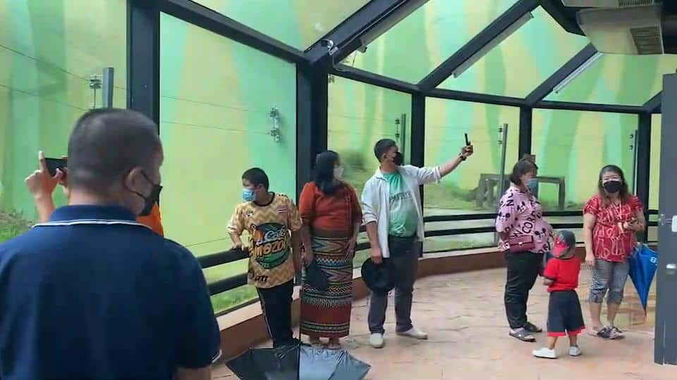 5 ธันวาเด็กเที่ยวสวนสัตว์เชียงใหม่ฟรี ! 5 ธันวาเด็กเที่ยวสวนสัตว์เชียงใหม่ฟรี !