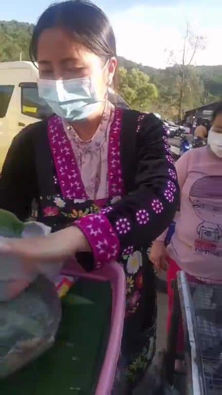 "โมจิดอย" ของดีกาดม้ง ดอยอินทนนท์ "โมจิดอย" ของดีกาดม้ง ดอยอินทนนท์