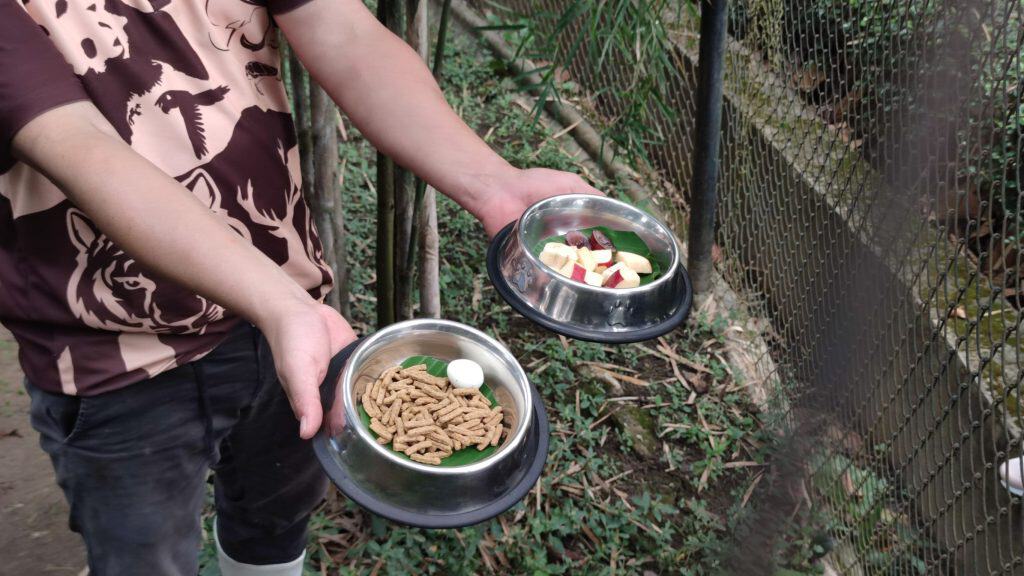 "แพนด้าแดง" ฟันธง ฟ้าขาวเฉือนอัศวินสีส้ม "ช้างไชโย" ให้ บราซิล "แพนด้าแดง" ฟันธง ฟ้าขาวเฉือนอัศวินสีส้ม "ช้างไชโย" ให้ บราซิล