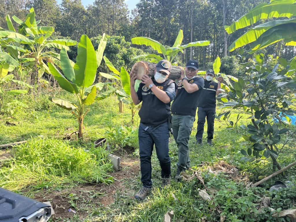 ตำรวจ ปทส. จับนายทุนบุกรุกป่าขายต่อให้ต่างชาติ