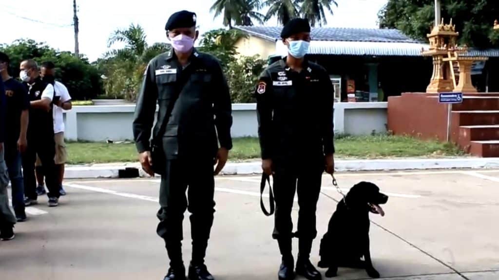 ไล่ล่า“เพชร หนองกุ่ม”ผู้ต้องหาออกอุบายหลอก ตร.ก่อนวิ่งหนีออกจากโรงพัก ไล่ล่า“เพชร หนองกุ่ม”ผู้ต้องหาออกอุบายหลอก ตร.ก่อนวิ่งหนีออกจากโรงพัก